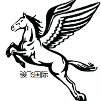 深圳市骏飞国际物流有限公司